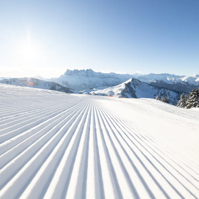 R51l8160 4k 3840px Evoq