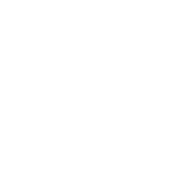 Logo S White Defonce Rvb